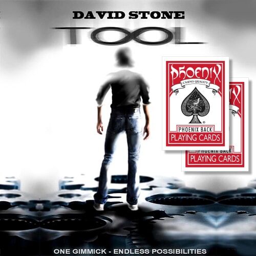 DavidStoneTool.jpg TOOL - David Stone (Phoenix Edition) – Bild 1