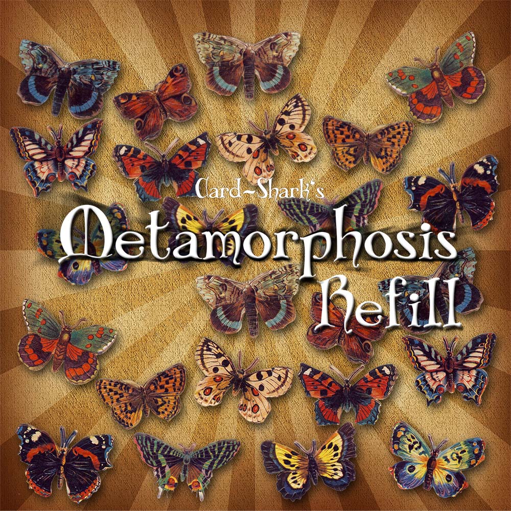 Metamorphosis Refill – Bild 1