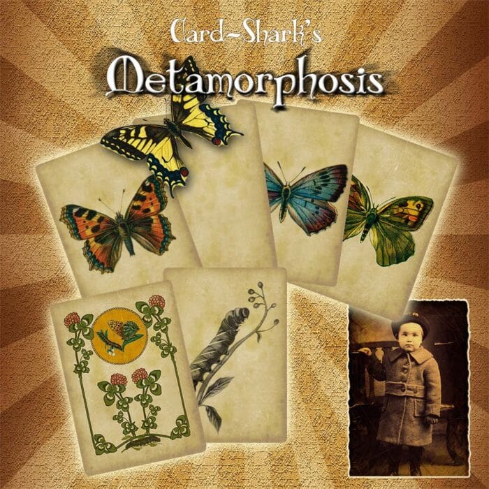 Metamorphosis