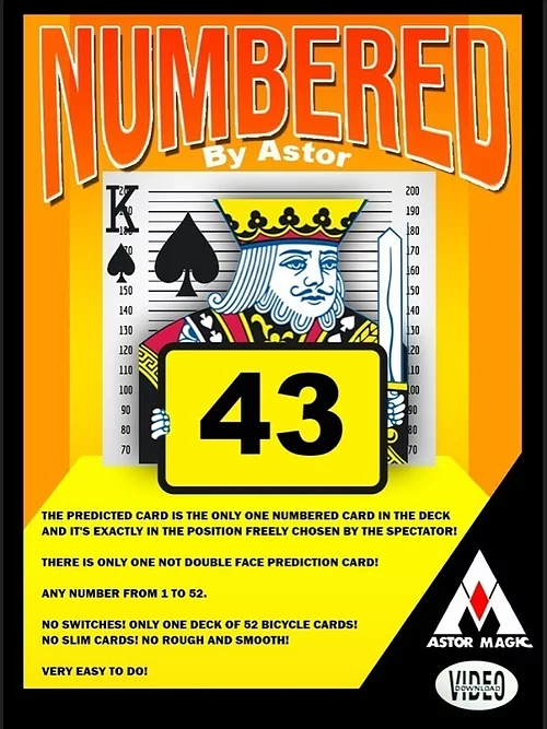 NUMBERED – Bild 1