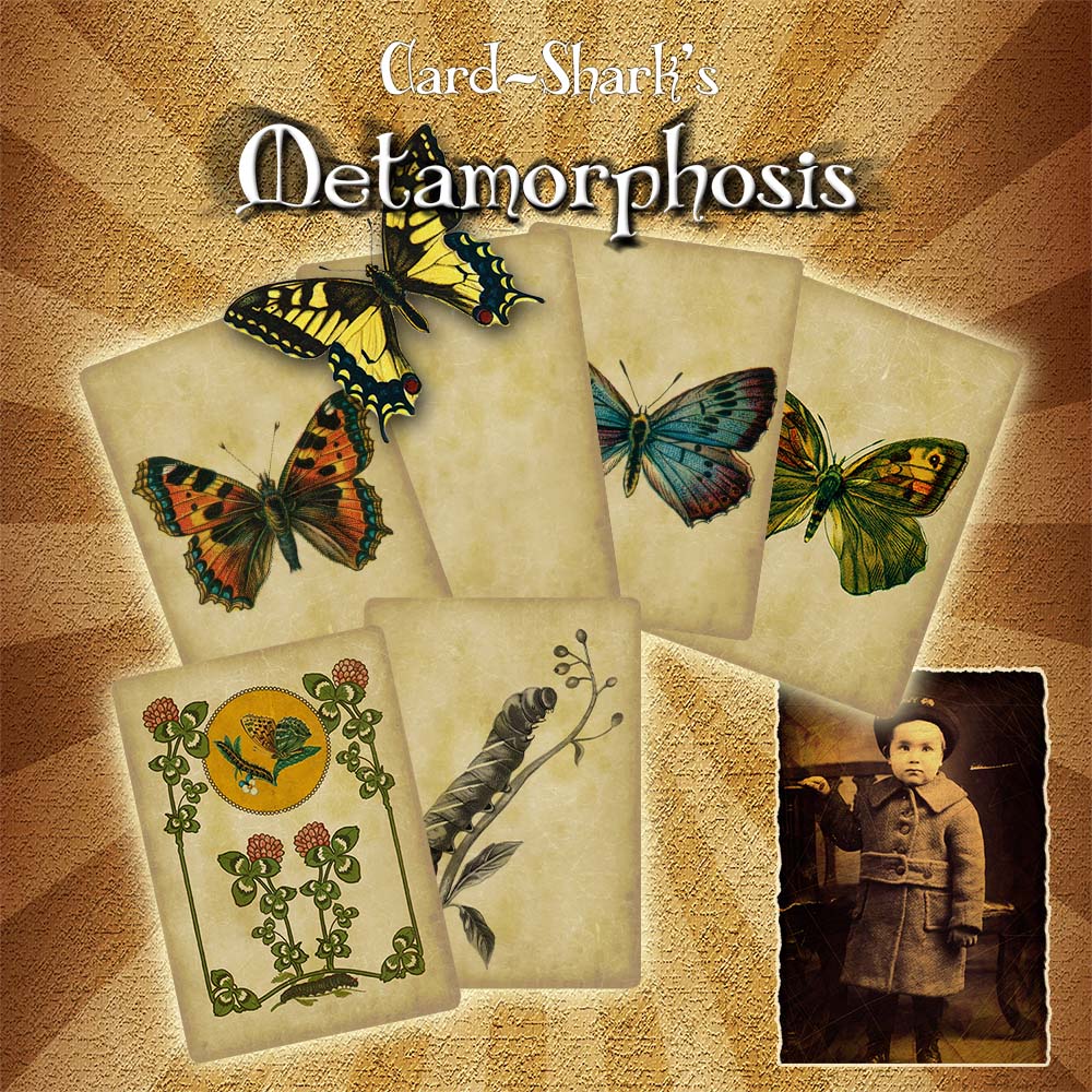 Metamorphosis – Bild 1
